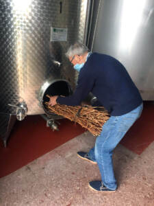 Our Hilario (retired now) preparing our traditional gavilla made of vine shoots for his 20th harvest